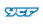 Logo YCF
